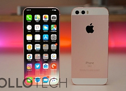 Apple sẽ ra mắt iPhone với cảm biến vân tay Touch ID toàn màn hình và iPhone SE 2 với phần cứng nâng cấp trong năm 2020?