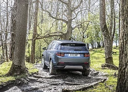 Các gia đình sẽ ấn tượng bởi những tiện nghi này trên Land Rover Discovery Sport 2020