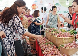 Hà Nội: Khai mạc tuần lễ mận và nông sản an toàn Sơn La