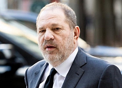 Harvey Weinstein dùng 44 triệu USD để thu hồi đơn kiện cưỡng bức