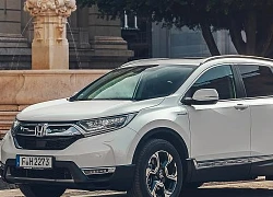 Honda triệu hồi 137.000 xe CR-V do lỗi túi khí