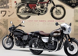 Kawasaki W800 Street: Động cơ 773cc, giá 228,51 triệu