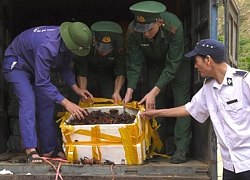 Lo ngại đối tượng buôn lậu tôm càng đỏ phi tang vật xuống sông