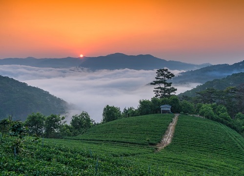 Những điểm ngắm sương vờn mây lúc bình minh ở Đà Lạt