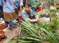 Những phiên chợ chỉ bán một món hàng duy nhất ở vùng cao Tây Bắc