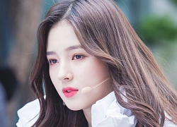 "Nữ thần lai" Nancy: Mỹ nhân đẹp hiếm có nhưng chuyên bị "ném đá" vì dính loạt phốt từ BTS đến BLACKPINK