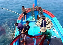 Sẽ mạnh tay hơn với vi phạm trong khai thác thủy sản