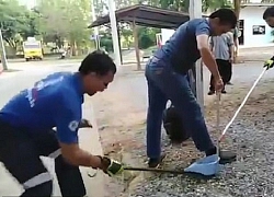 Thanh niên "ti toe" không sợ rắn, dùng tay bắt và phản ứng kinh sợ khi bị rắn quấn tay