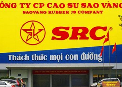 Thoái vốn Cao su Sao Vàng (SRC): Sức hút của "đất vàng"