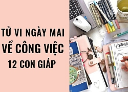 Tử vi hôm nay (26/5/2019) về công việc của 12 con giáp: Tuổi Hợi né tránh chuyện công việc