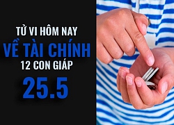 Tử vi ngày mai (25/5/2019) về tài chính của 12 con giáp: Tuổi Tuất càng trì hoãn càng cắn rứt lương tâm