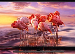 Đánh giá nhanh Samsung TV QLED 4K Q80R 65 inch 2019