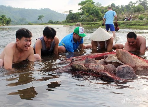 Độc đáo: Dân ở đây xuống suối "xây thành, đắp lũy" bẫy bắt cá khe