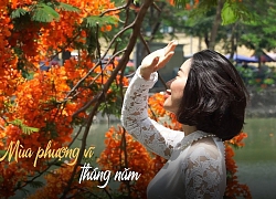 Hải Phòng rợp trời hoa phượng đỏ đẹp ngất ngây lòng người