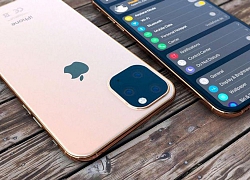 iPhone 2019 sẽ loại bỏ Touch ID, có iPhone SE 2 vào năm 2020