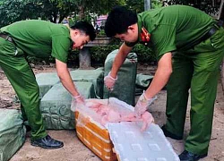 Lạng Sơn: Gặp công an bèn vứt lại 400kg nầm lợn hôi thối