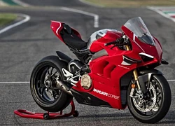 Ngắm nhìn Siêu Motor nước Ý : Ducati 959 Panigale 2020