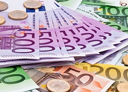 Nghiên cứu gây tranh cãi về đồng Euro