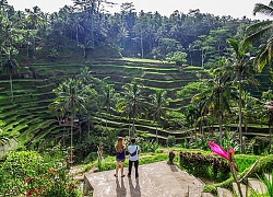 Thủ sẵn những bí kíp này trước khi muốn 'ăn, cầu nguyện, yêu' tại Bali