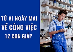 Tử vi ngày mai (29/5/2019) về công việc của 12 con giáp: Tuổi Dần đừng quá tự mãn