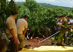 Vụ giết, chôn xác 3 bà cháu : "Sẽ sớm thực nghiệm hiện trường"