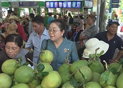 Hấp dẫn Lễ hội trái cây Nam Bộ 2019