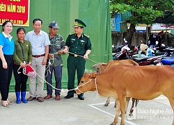 Hỗ trợ vật nuôi và tiền làm nhà cho hộ nghèo ở Con Cuông, Tân Kỳ