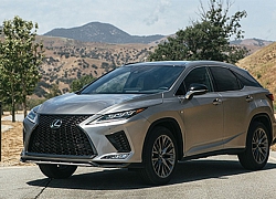 Lexus RX 2020 - thiết kế lại, thêm công nghệ