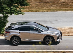 Lexus RX 2020 với những thay đổi này liệu có khiến các đối thủ cùng phân khúc phải dè chừng?