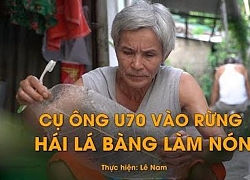 Ông lão kỳ lạ ở Huế chỉ vào rừng nhặt lá bàng về làm nón trong suốt cực lạ