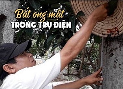 Theo chân "cao thủ" bắt ong mật trong trụ điện để đăng YouTube