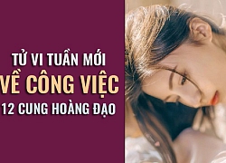 Tử vi tuần mới (03/6 09/6) về công việc của 12 cung hoàng đạo: Cự Giải năng suất cao đột biến!