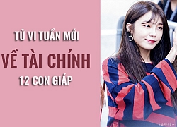 Tử vi tuần mới (3/6-9/6) về tài chính của 12 con giáp: Tài chính Tuổi Hợi &#8216;thuận co thì vừa kéo&#8217;