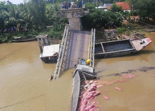 Vụ cầu BOT ở Đồng Tháp bị sập: Bộ trưởng GTVT chỉ đạo khẩn trương khắc phục