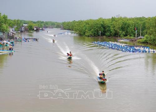 Cà Mau: Hóa ra làm nên "vương quốc" hàu lồng chỉ cần 1 ấp này thôi