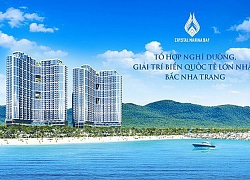 Crystal Marina Bay gây chú ý khi bắt tay với các đối tác quốc tế tên tuổi