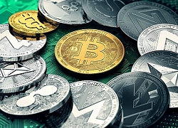 Giá Bitcoin giảm mạnh nhất 2 tuần, tuột mốc 8.000 USD