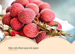 Muốn ăn vải ngon, không bị sâu đầu thì buộc phải biết cách chọn vải "chuẩn không cần chỉnh" này