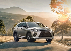 Những thay đổi đáng chú ý trên chiếc Lexus RX 2020