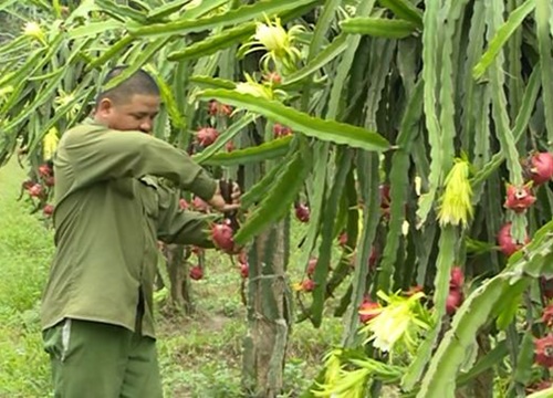 Tìm hiểu về chính sách tín dụng cho nông nghiệp và nông thôn