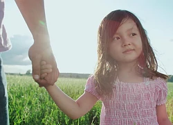 Tôi nghi ngờ mình đang 'nuôi con tu hú'