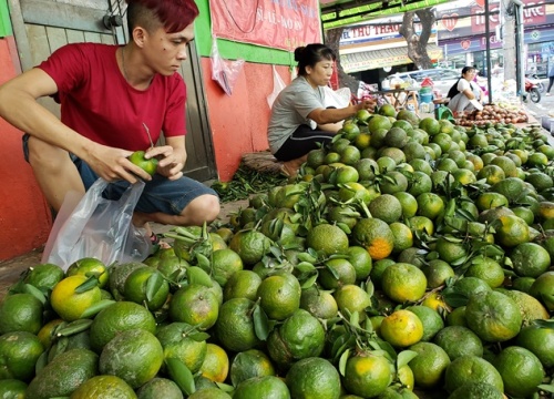 Trái cây khắp nơi "đổ bộ" thị trường TP.HCM, vừa rẻ lại ngon ngọt