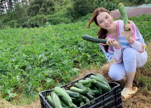 Lý Nhã Kỳ khoe khu vườn rau xanh sạch tự nhiên "cò bay thẳng cánh" ở Đà Lạt