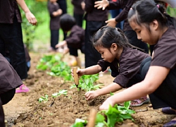 Muôn màu mùa hè: Chớ đặt quá nhiều kỳ vọng