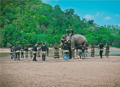 Ảnh kỉ yếu đậm chất Tây Nguyên: Đem cả voi vào chụp chung cho có không khí