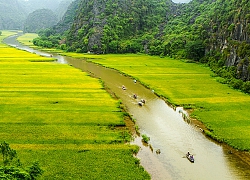 Bí kíp du lịch Ninh Bình giữa "mùa vàng" Tam Cốc