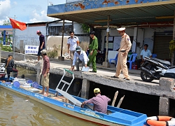 Cà Mau: Xuất hiện ổ dịch tả lợn Châu Phi thứ 3