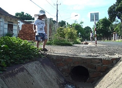 Côn trùng lạ mùi hôi tanh xuất hiện tấn công người dân: 'Bò đến đâu ngứa đến đó'