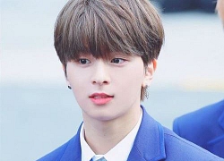 Đây là các thực tập sinh không góp mặt trong vòng loại trừ đầu tiên của Produce X 101