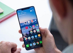 Google loại bỏ Huawei Mate 20 Pro khỏi danh sách thiết bị thử nghiệm Android Q